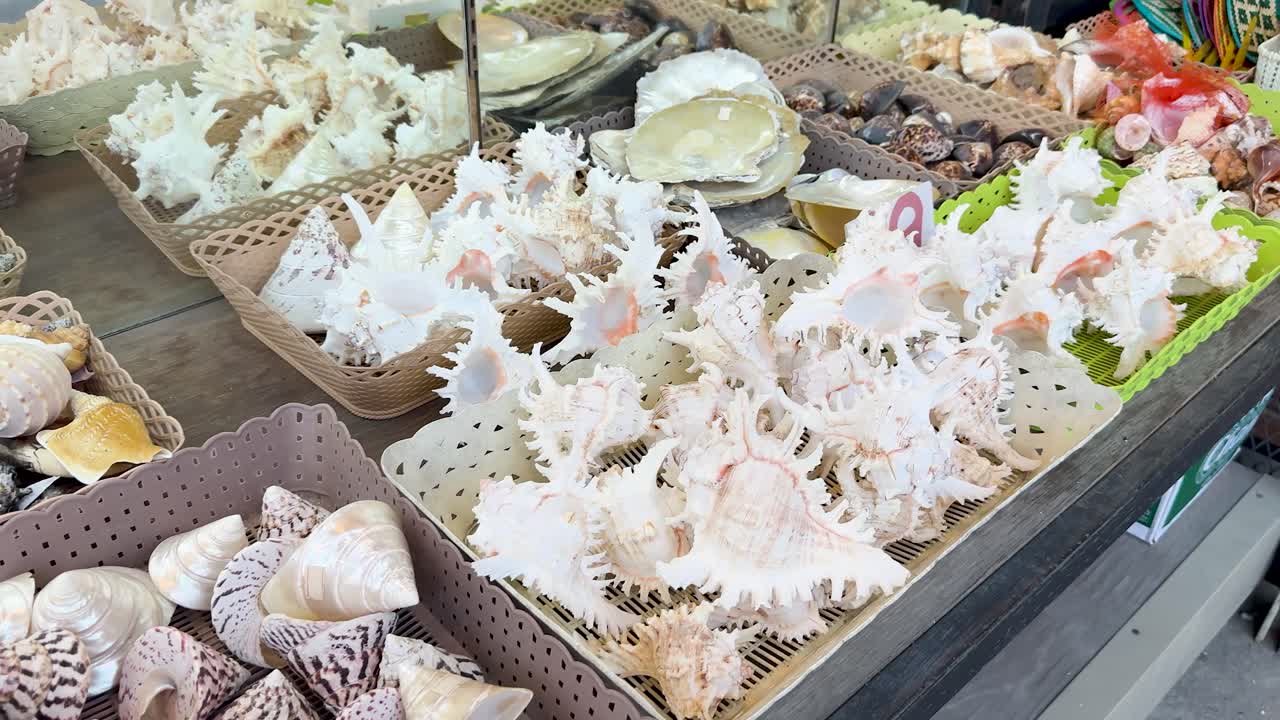 Various decorative seashells arranged in baskets on market stall, natural daylight, smooth camera pan