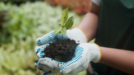 jardinero que trabaja en interiores