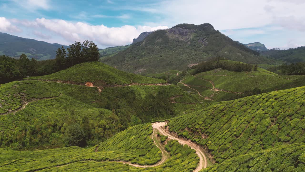 인도 차의 상록색 차 농장, 무나르, 케랄라, 남 인도