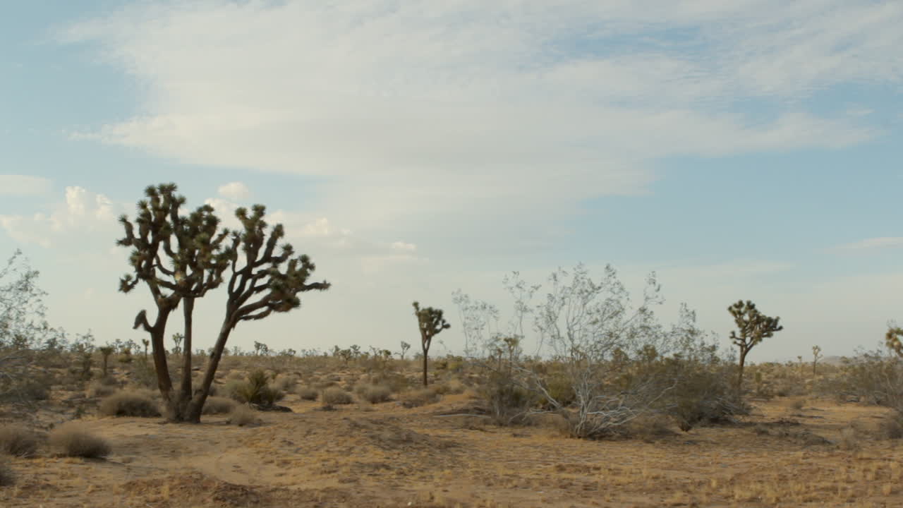 paisaje desértico durante el día