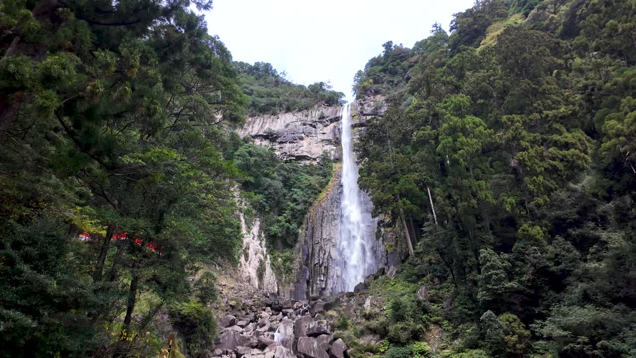 Majestic Nachi waterfall cascading amidst verdant trees in Wakayama's scenic forested landscape.