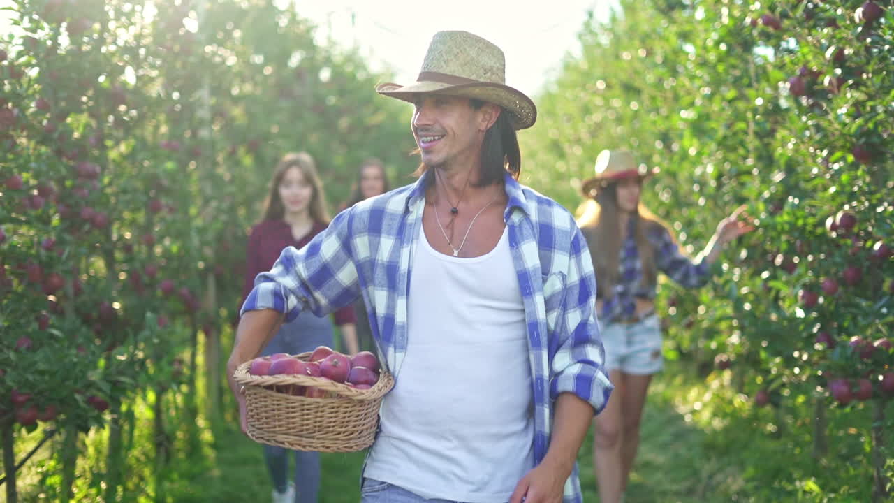 People picking apples in a sunny apple orchard