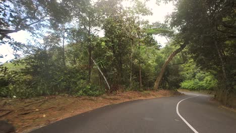 Driving-through-the-national-park-road,-dense-forest,-lush-vegetation-on-Mahe-island,-Seychelles-60-fps-13