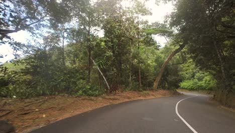 conduciendo a través de la carretera del parque nacional, bosque denso, vegetación exuberante en la isla de mahe, seychelles 60 fps 13