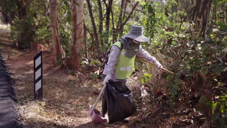person cleaning litter and debris along a forest roadside