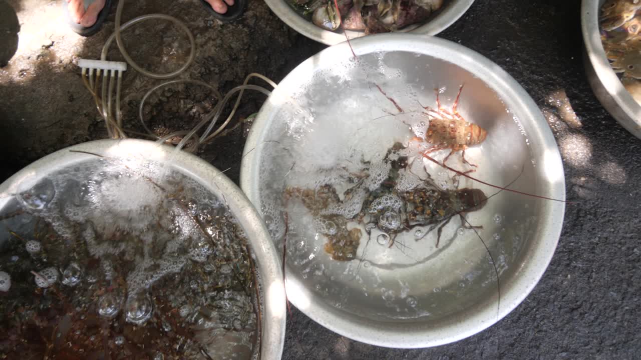 시장에서 판매되는 다양한 생생한 해산물과 함께 무강한 연못을 닫습니다.