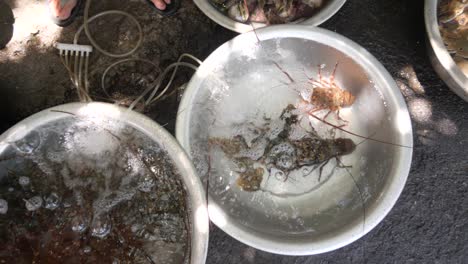 cerca de cuencas sin acero con variedades de mariscos vivos vendidos en el mercado.