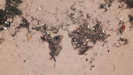 marine debris that resembles the world map