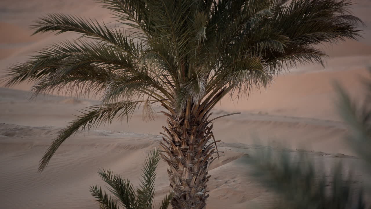 Merzouga Sahara Desert 05