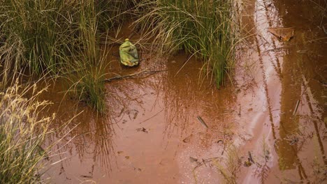 4K-Eine-Plastikflasche,-Die-Im-Flussufer-Der-Ria-De-Aveiro-In-Der-Mündung-Des-Flusses-Vouga-Zurückgelassen-Wurde