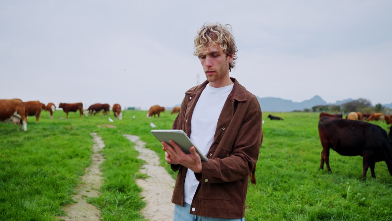 Uomo con tablet in un allevamento di bestiame