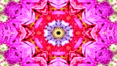 abstracto flores coloridas concepto de flora patrón simétrico ornamental decorativo caleidoscopio movimiento círculo geométrico y formas de estrellas