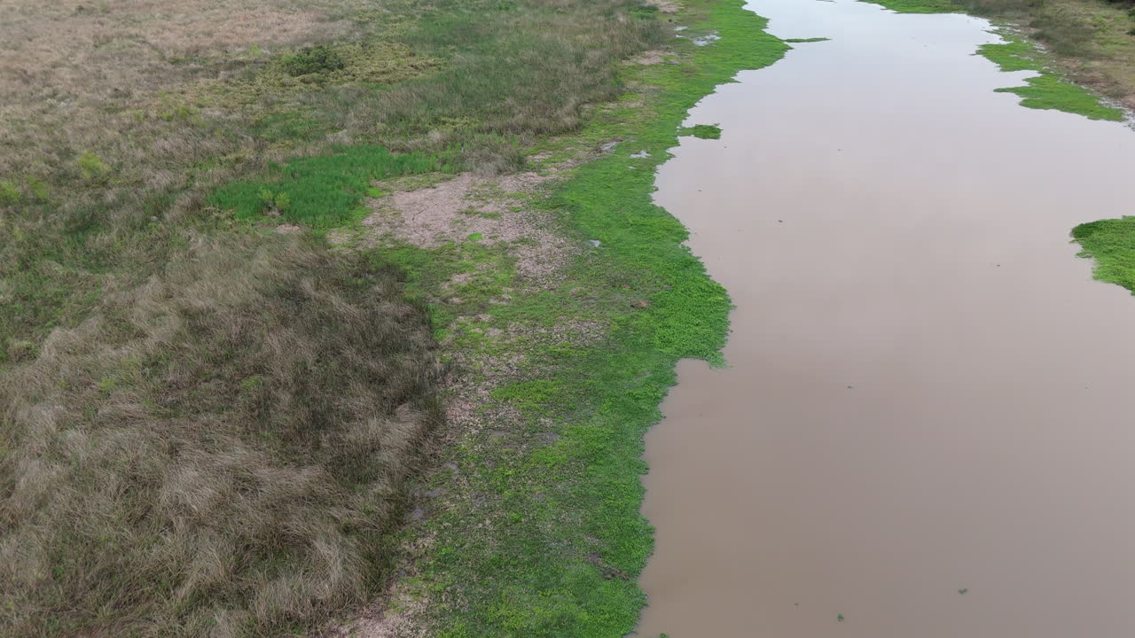 Low aerial over calm muddy river estuary and wetlands in Paraná Delta, Argentina
