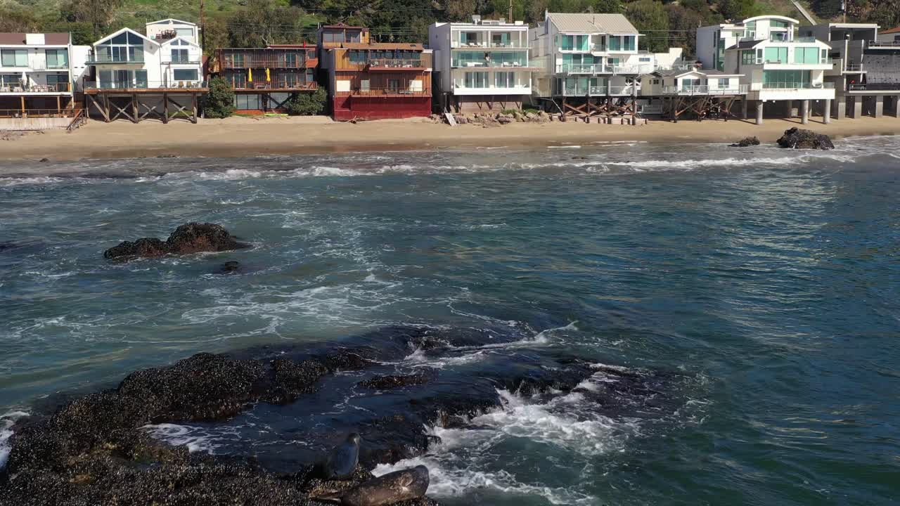 Splendida ripresa aerea con drone di foche che si rilassano sulle rocce nel mare, con vista sui lussuosi bungalow sulla spiaggia a Malibu, California, USA.