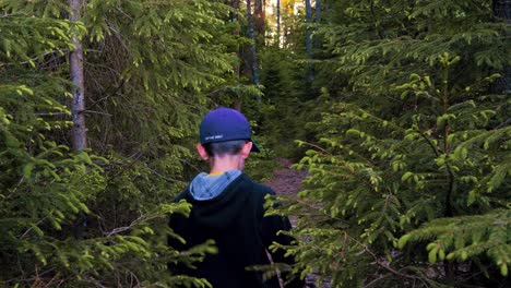 el niño caminaba solo por el bosque.