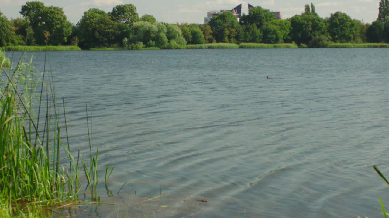 네덜란드, 유럽의 아름답고 고요하고 평화로운 호수 풍경