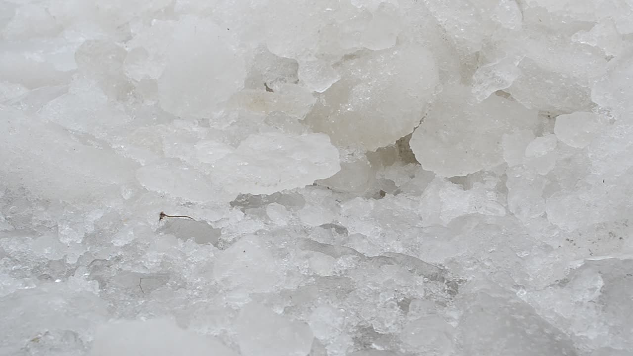 Il mare ghiacciato. Ghiaccio sul mare