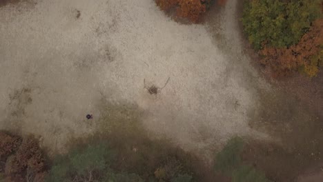 This-footage-was-taken-in-the-one-of-the-Dunes-in-Holland