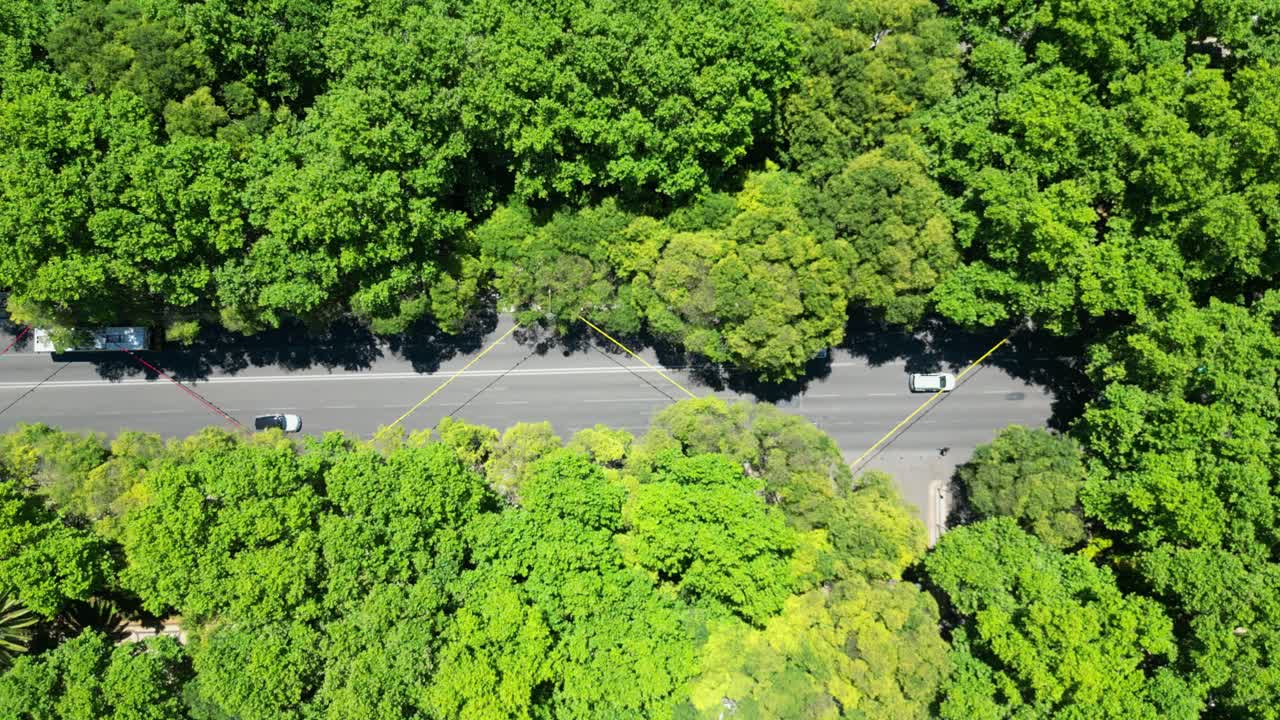 Bird's eye view of cars at Avenida da Liberdade, one of Lisbon's most emblematic avenues. An avenue with the particularity of being covered by trees,Portugal