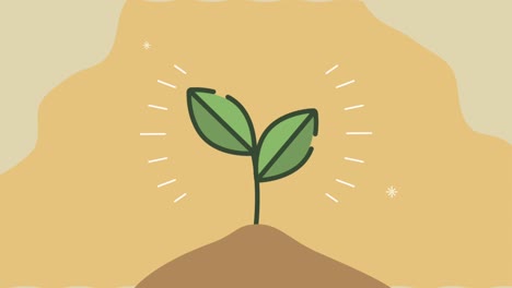 eco friendly animation with plant