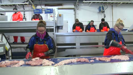 women work on an assembly line at a fish processing factory 1