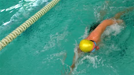 fit man swimming in the pool