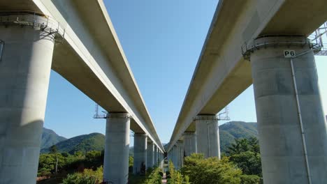 two bridges that appear to be perspective