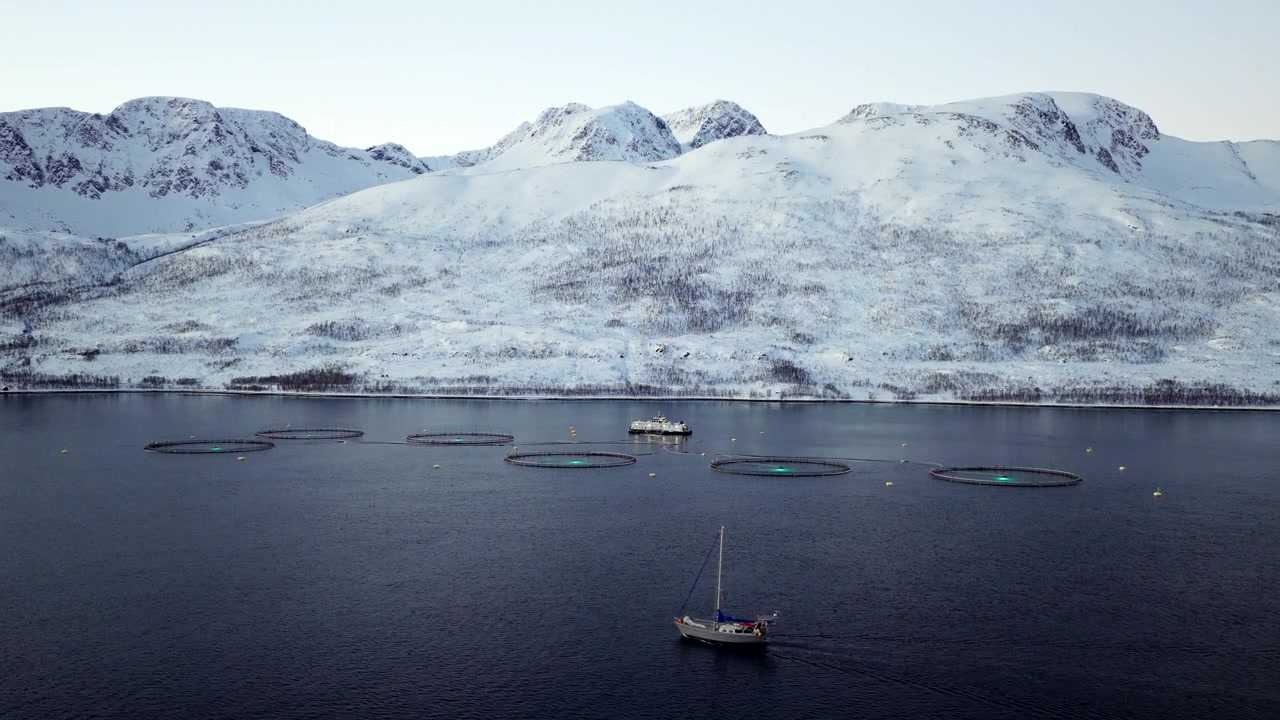 Ferme salmonicole sous des montagnes enneigées dans le fjord de Ringvassoya pendant la nuit polaire, plan moyen établi par drone.
