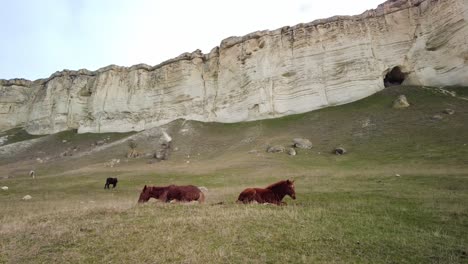 Experience-the-grandeur-of-Crimea-as-you-immerse-in-the-sight-of-horses-grazing-by-the-white-cliff-in-this-video,-embodying-natural-beauty-and-tranquility