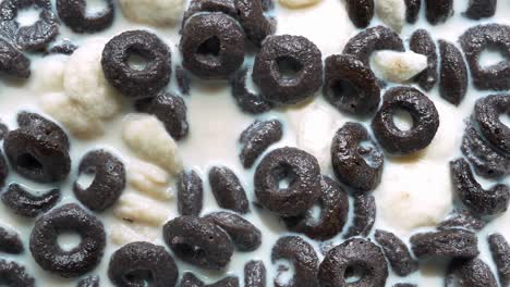 cereal de chocolate en la leche