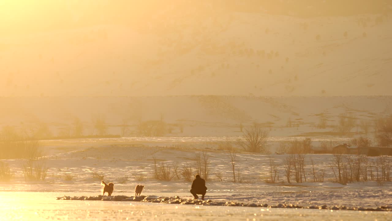 저수지 해안에서 개와 노는 노인