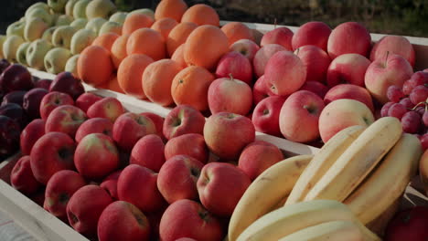 counter with apples oranges and bananas