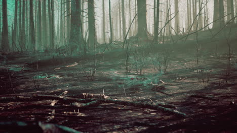 forest fire and fallen tree is burned to the ground with a lot of smoke