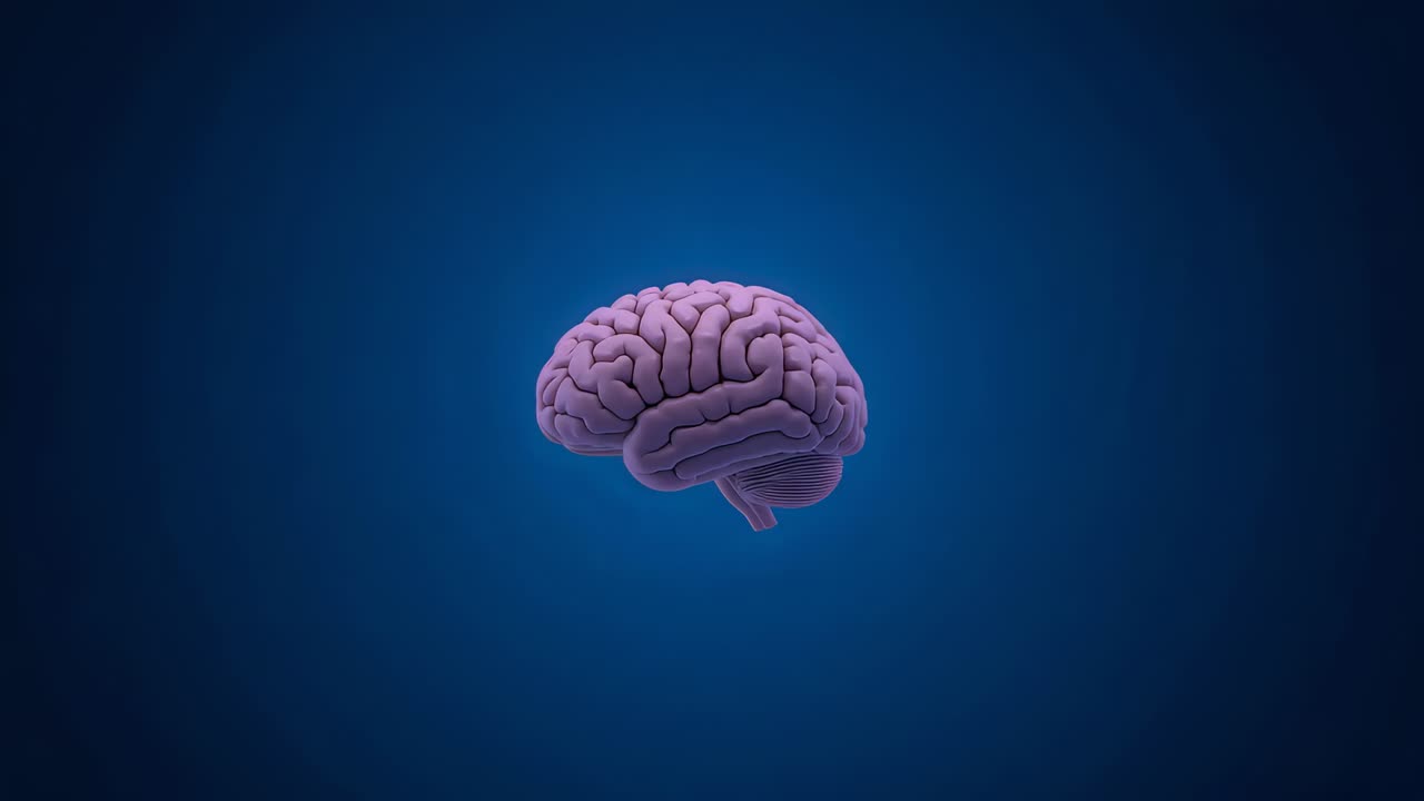 Revealing 3D brain model rotating subtly in 3D studio, bright point light appearing to show anatomy