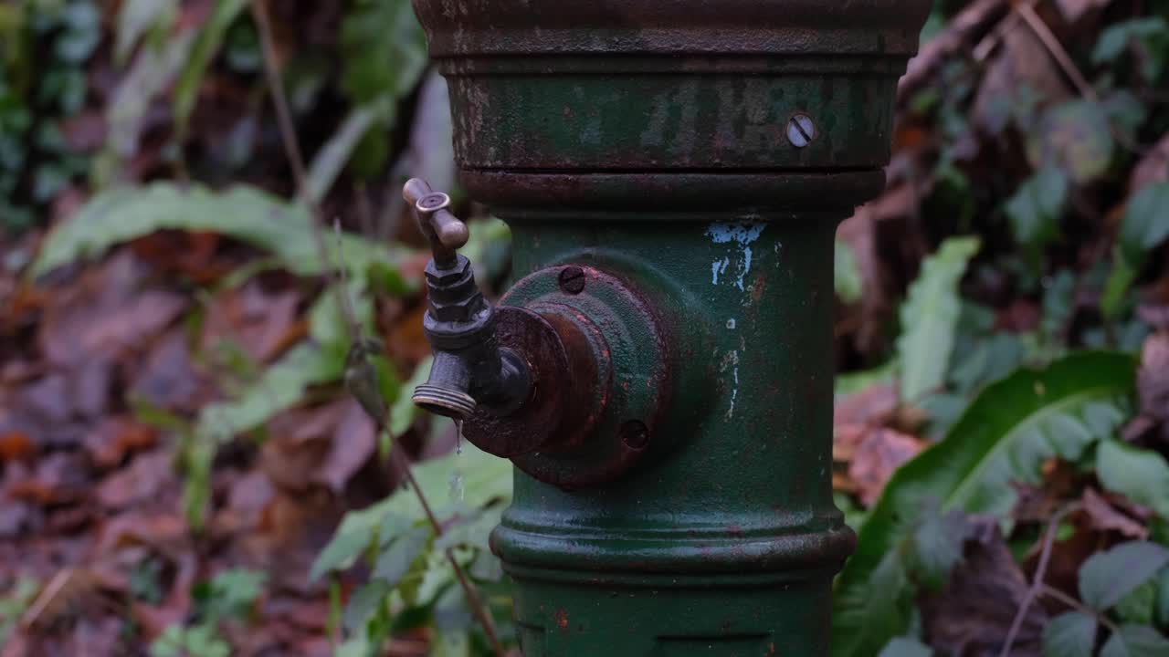 primo piano del vecchio rubinetto dell'acqua che gocciola nel parco giardino boschivo della campagna inglese rurale durante la stagione autunnale invernale