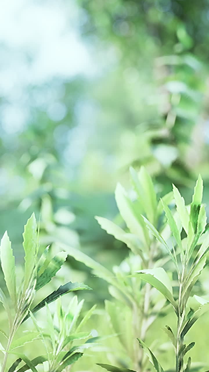 정원 에 있는 초록색 잎 들 의 근접 사진