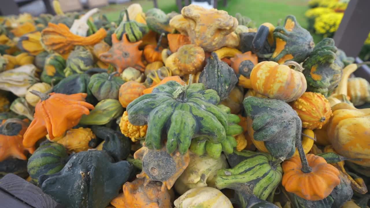 Gourds and squash in wagon at pumpkin patch