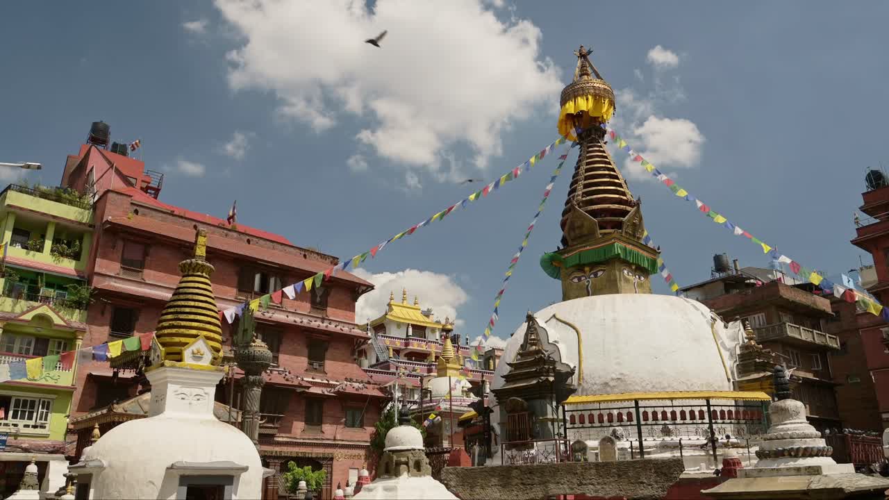 Slow Motion Birds Flying at a Temple in Nepal in Kathmandu, Pigeons in Flight at a Famous Buddhist Building for Buddhism in Kathmandu, Old Historic Buildings on Sunny Clear Blue Sky Day