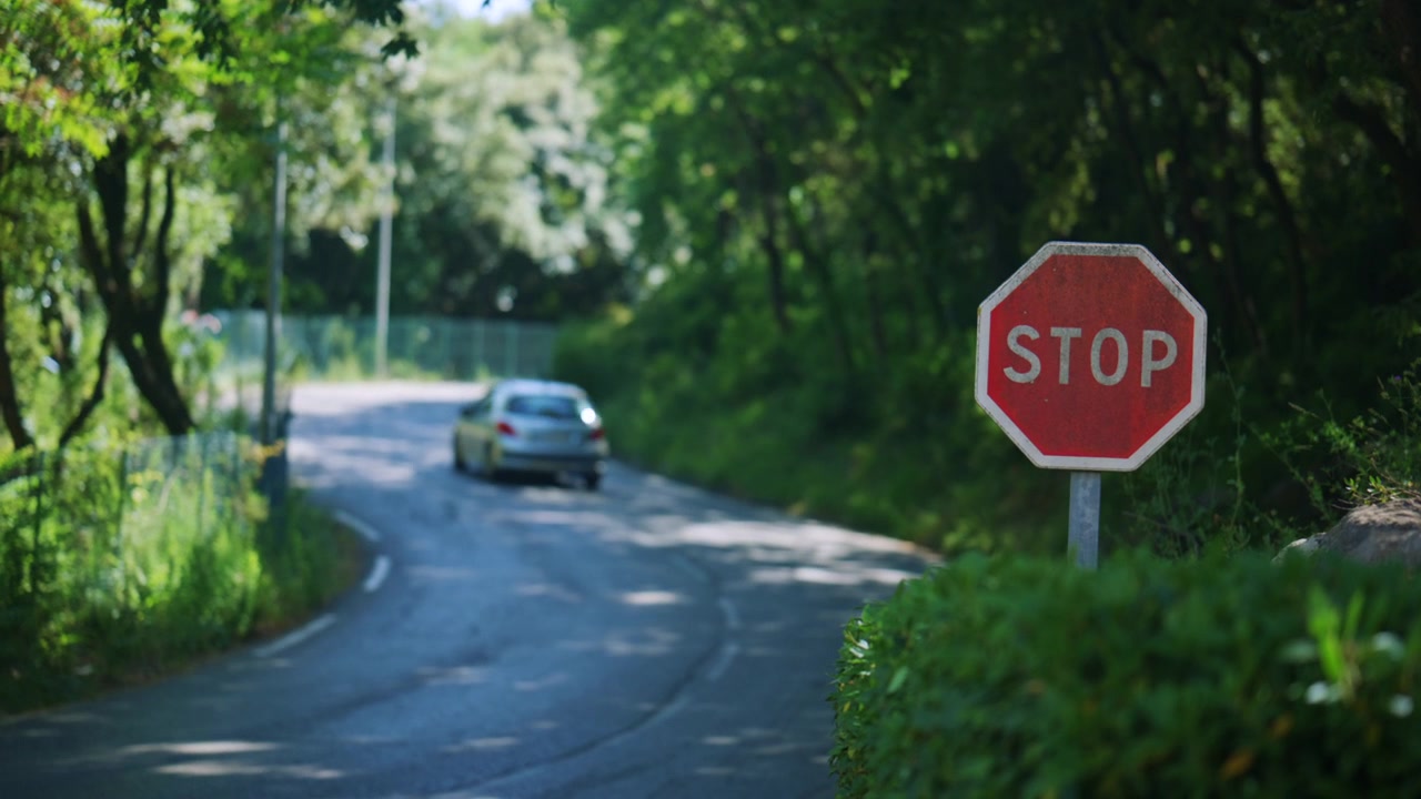 Primo piano di un segnale di stop accanto a una tranquilla strada verde, con un'auto che passa in lontananza e una morbida illuminazione naturale estiva.