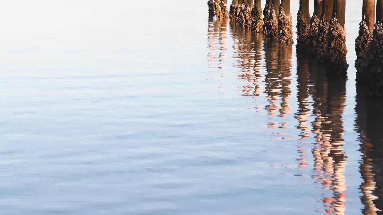 Poles reflecting in calm water moments after sunrise
