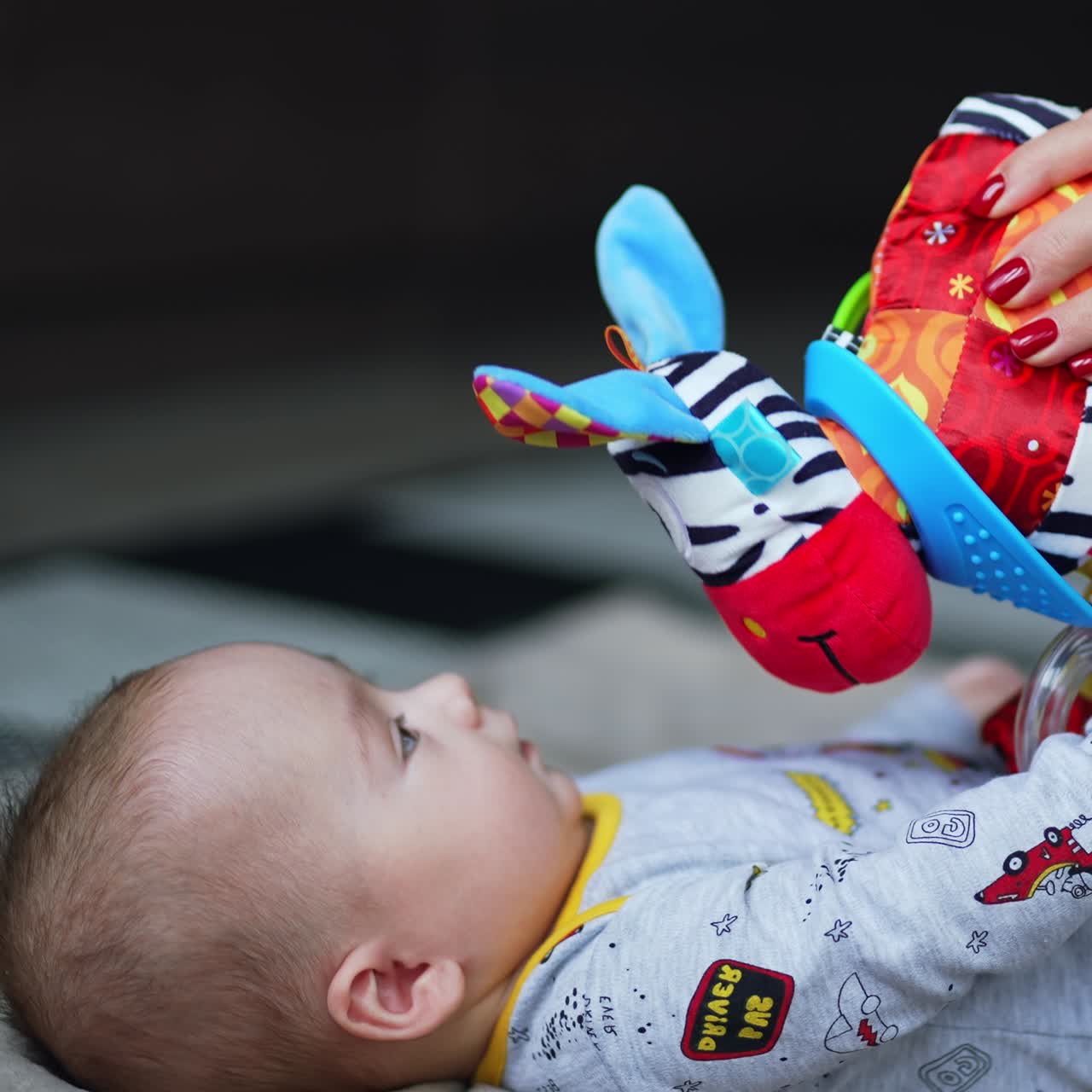 Bright colorful toy zebra is given to a toddler lying on back. Mommy is shaking a toy in front of baby face. Close up