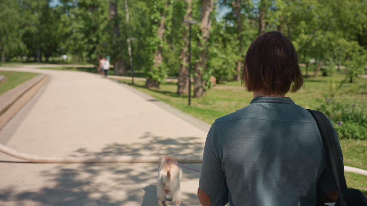 Joven paseando con un labrador en una tarde soleada, adolescente paseando con un labrador por un sendero sombreado del parque, persona joven paseando tranquilamente por el parque con un perro en una tarde soleada de verano