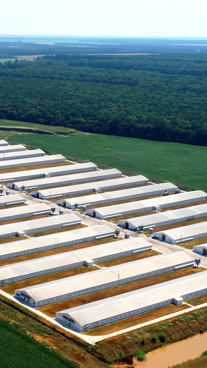 View from the drone at the big farm in the midst of green field. Farming concept. Aerial view. Vertical video
