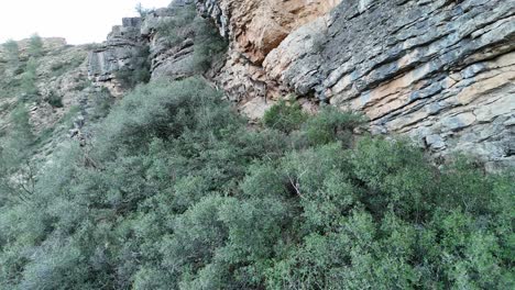 4 iberian ibex running across a rugged mountainous landscape in castellon, se spain