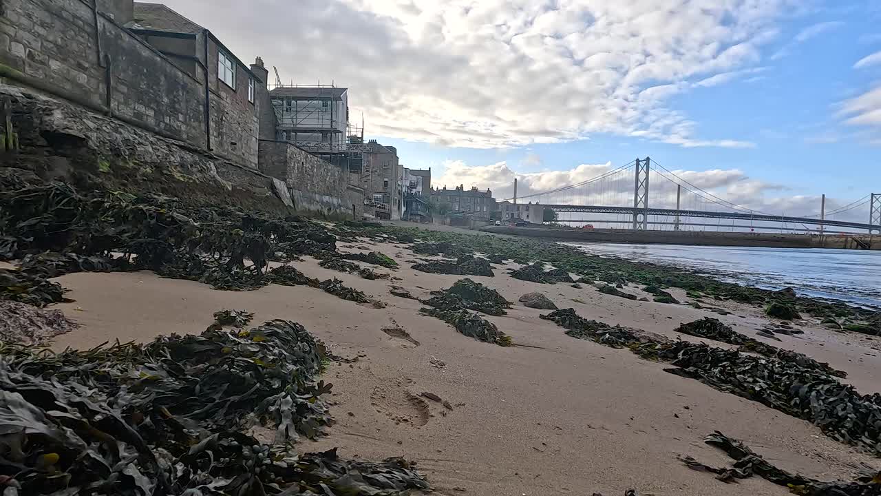 배경 에 해조류 와 포스 다리 가 있는 해변