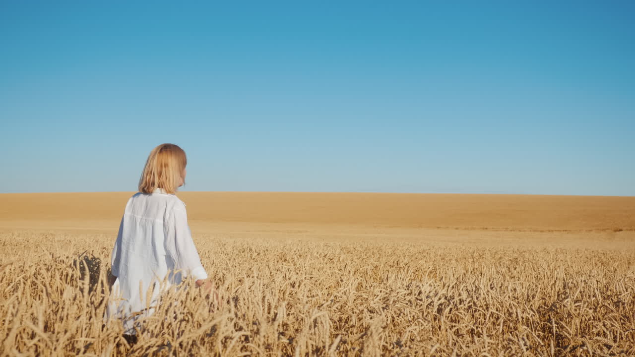 여성 농부는 끝없는 노란 밀밭을 걷는다