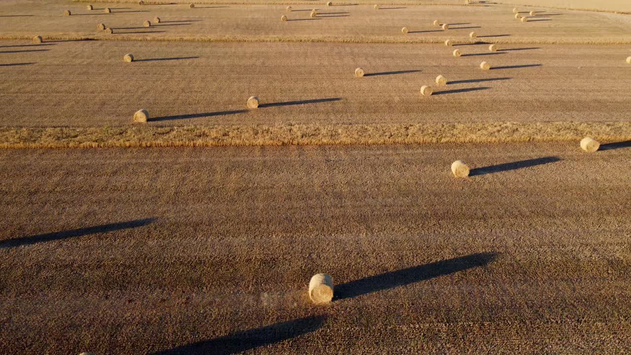 Straw bales at sunset seen from the air, drone view