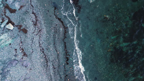 Tideline-of-seaweed-pushed-up-against-rocky-pebble-beach-with-clear-ocean-waves-of-water