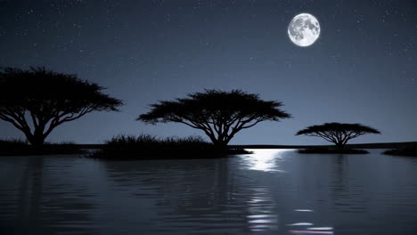 silhouette trees by moonlight lake at night