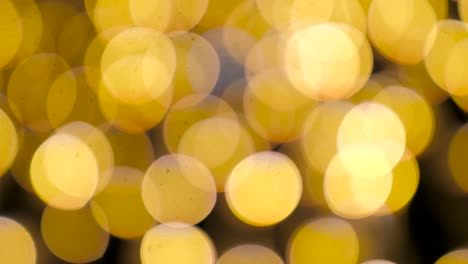 large warm bokeh